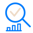 IT Audit